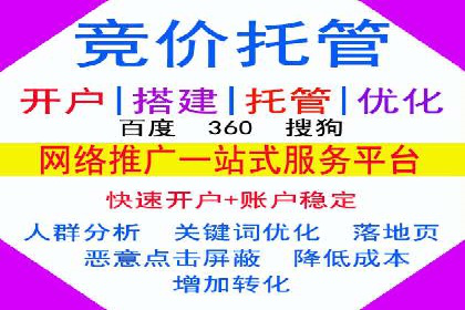 SEM广告投放中的数据监控与调整策略——以某品牌营销案例为例
